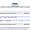 Mandat Immatriculation