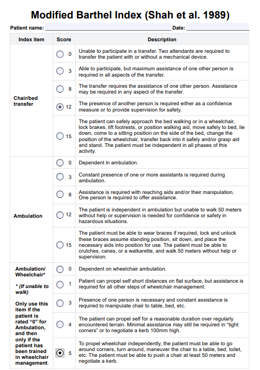 Modified Barthel index pdf