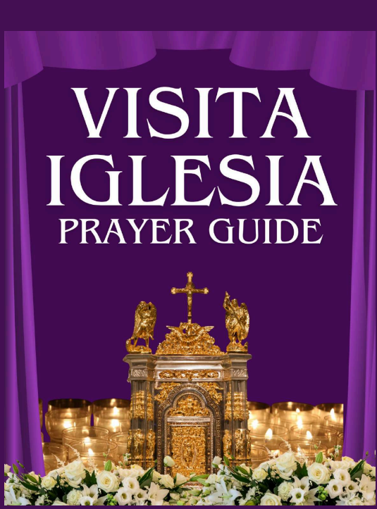 Visita Iglesia Prayer Guide 2026 pdf free download